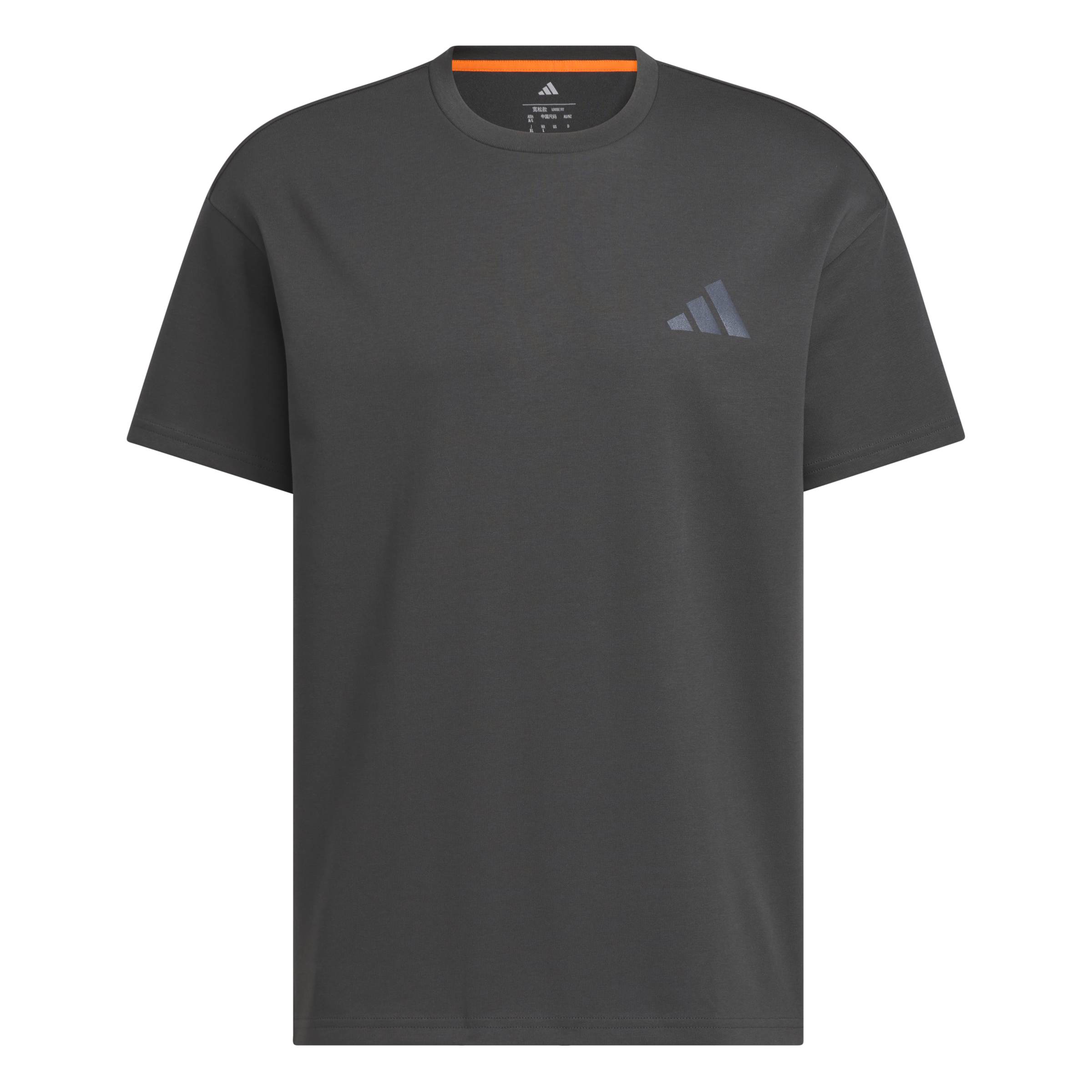 Men's Xploric Graphic T-Shirt - Grey