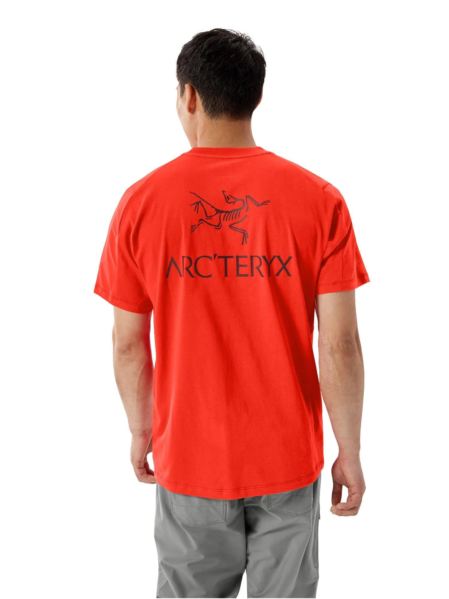 Men's Kragg SL Cotton Bird Word Short-Sleeve T-Shirt - Dynasty / Mars - Image 3
