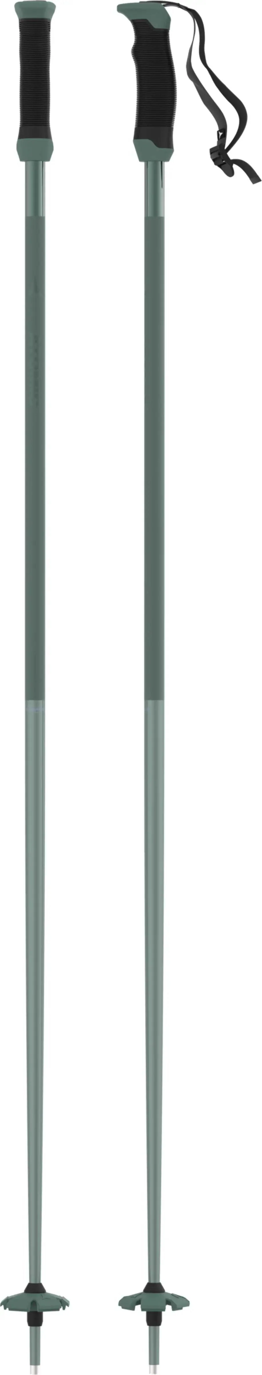 AMT SQS Ski Pole - Green