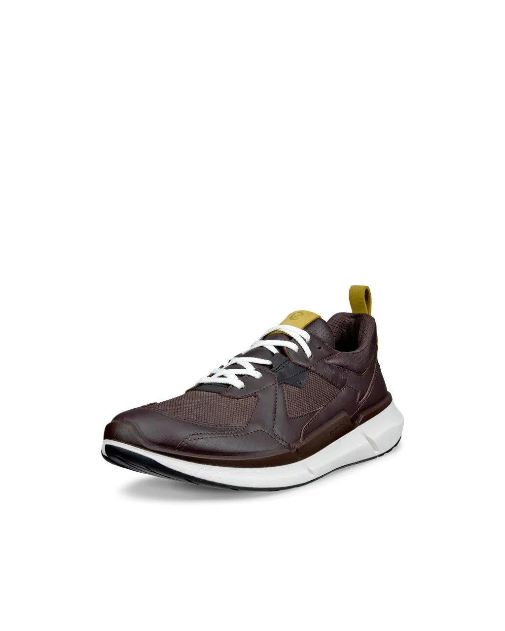Men's Biom 2.2 GORE-TEX Shoes - Brown - Image 2