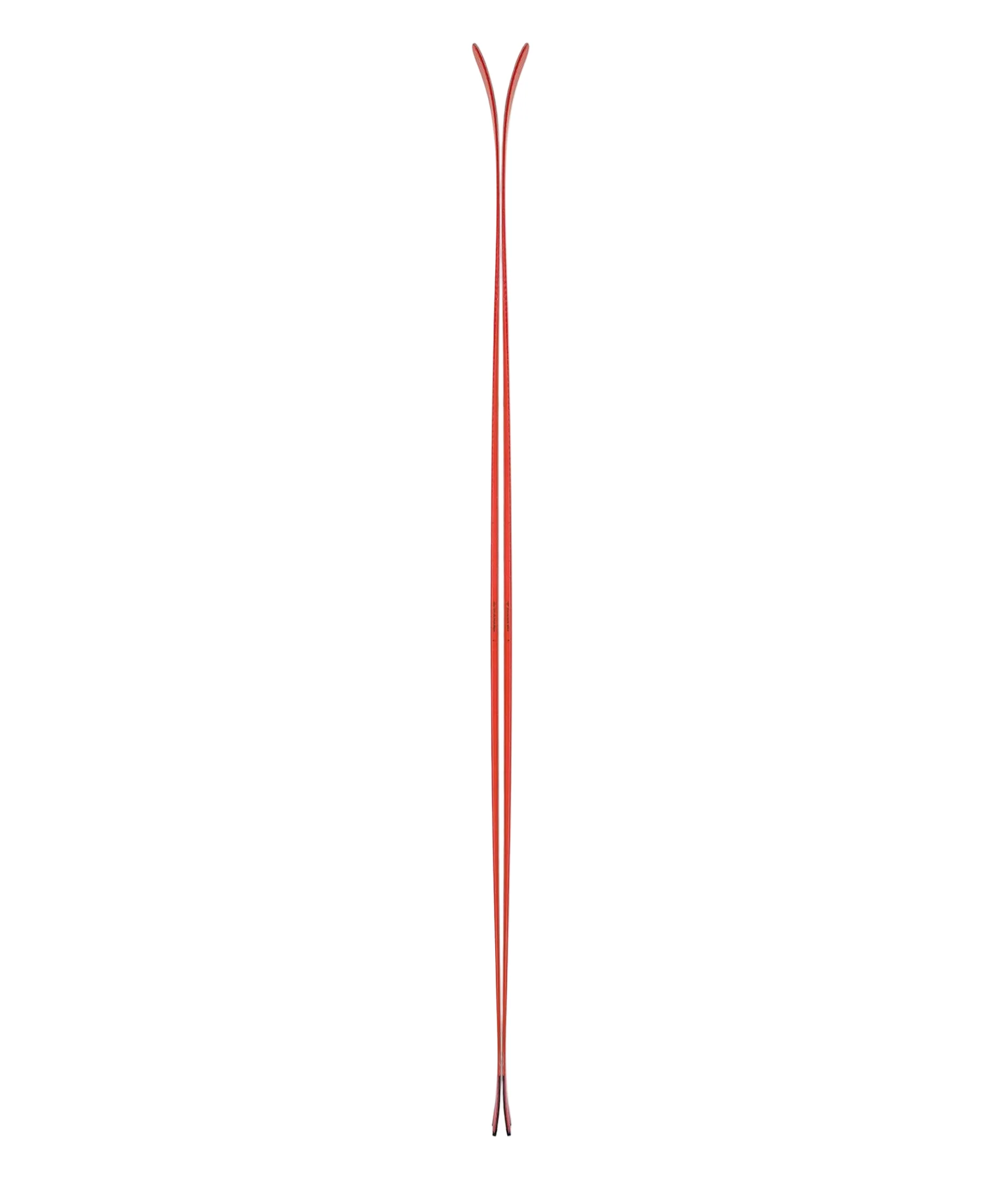 Camox Freebird Skis 2023 - Red - Image 3