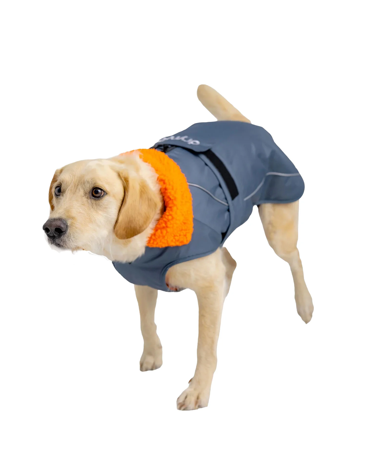 Dog Dryrobe Coat - Grey/Orange - Image 4