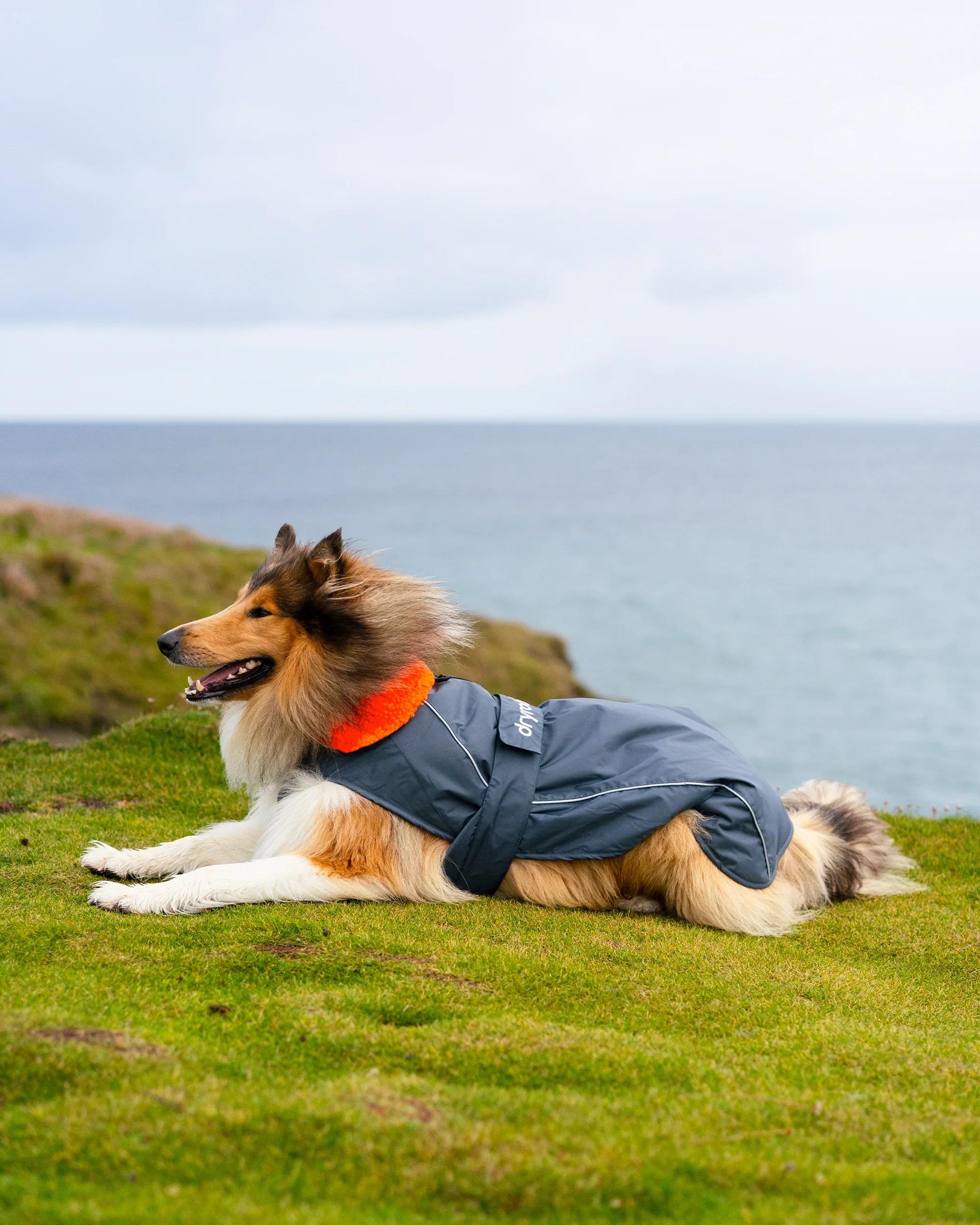 Dog Dryrobe Coat - Grey/Orange - Image 6