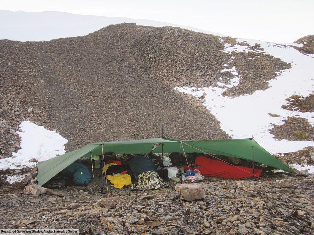 Tarp 10 XP - Green - Image 5