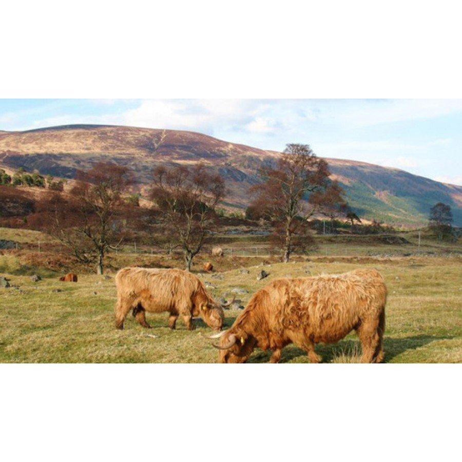 Explorer OL48 Ben Lawers & Glen Lyon Map - Image 4
