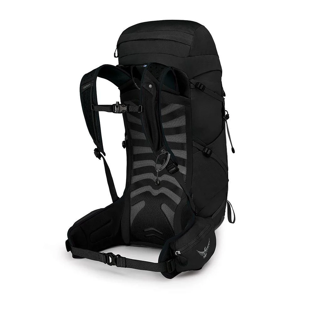 Talon 33L Rucksack - Black - Image 2
