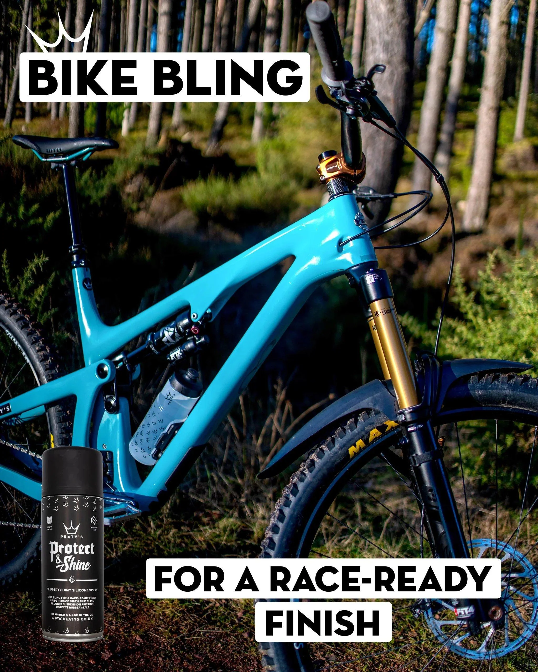 Protect & Shine Spray 400ML - Image 3