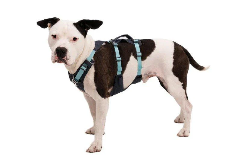 Flagline Harness - Grey - Image 2