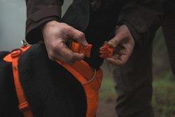Front Range Collar - Orange - Image 6