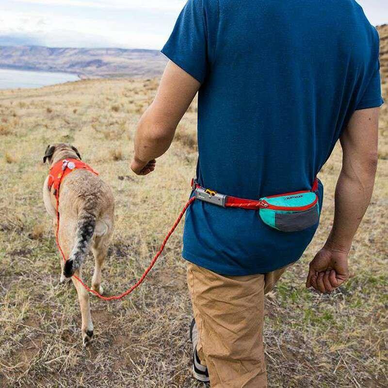 Hitch Hiker Leash - Aurora/Teal - Image 4