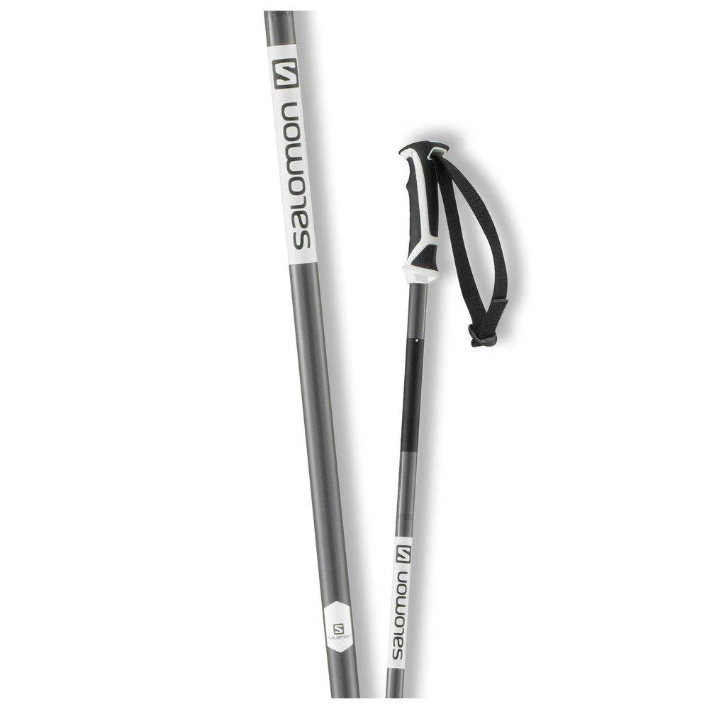 Arctic Ski Pole