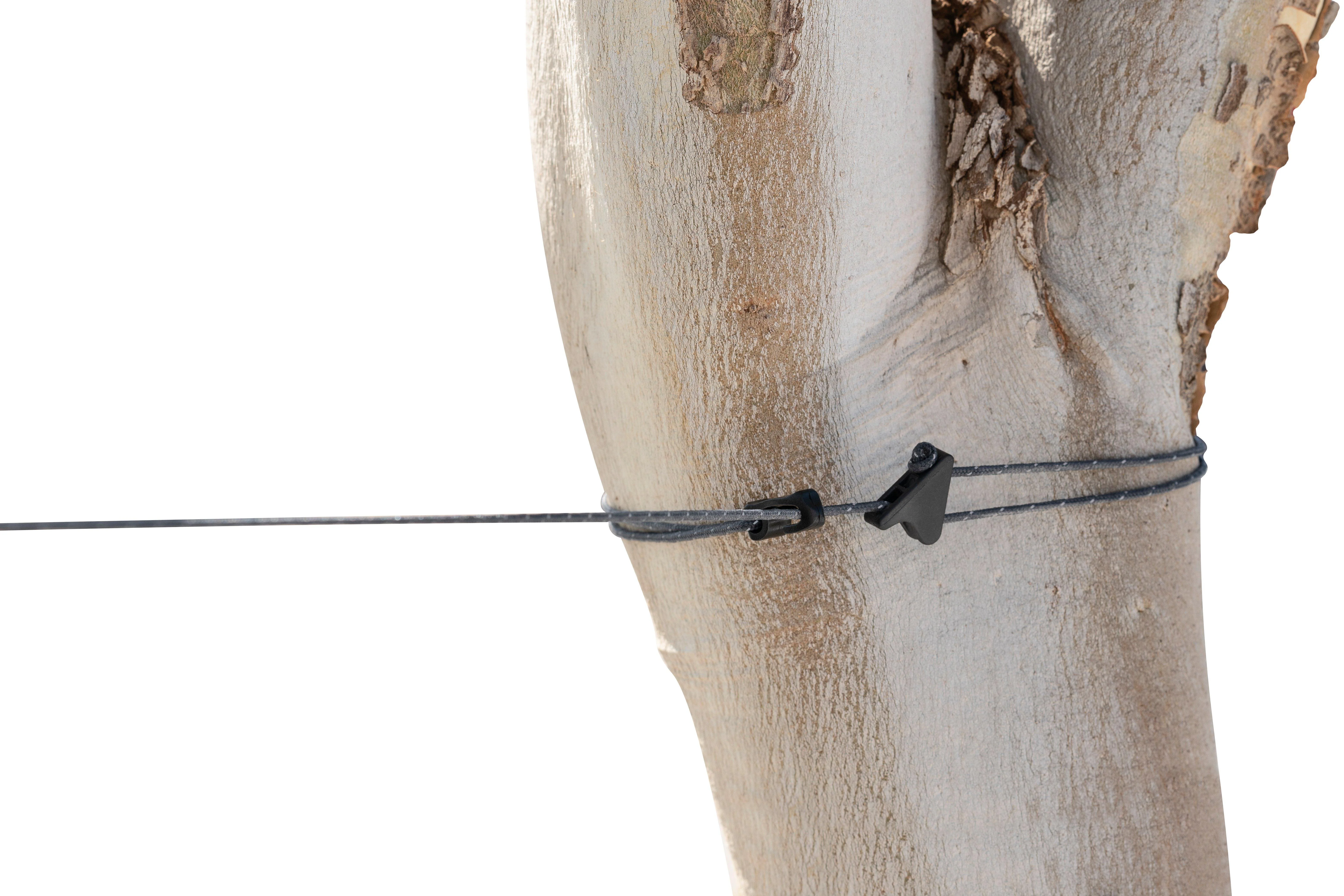 The Clothesline - Image 5