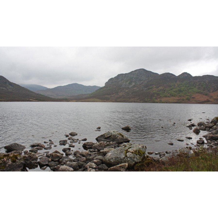 Explorer OL56 Badenoch & Upper Stratchspey Map - Image 5